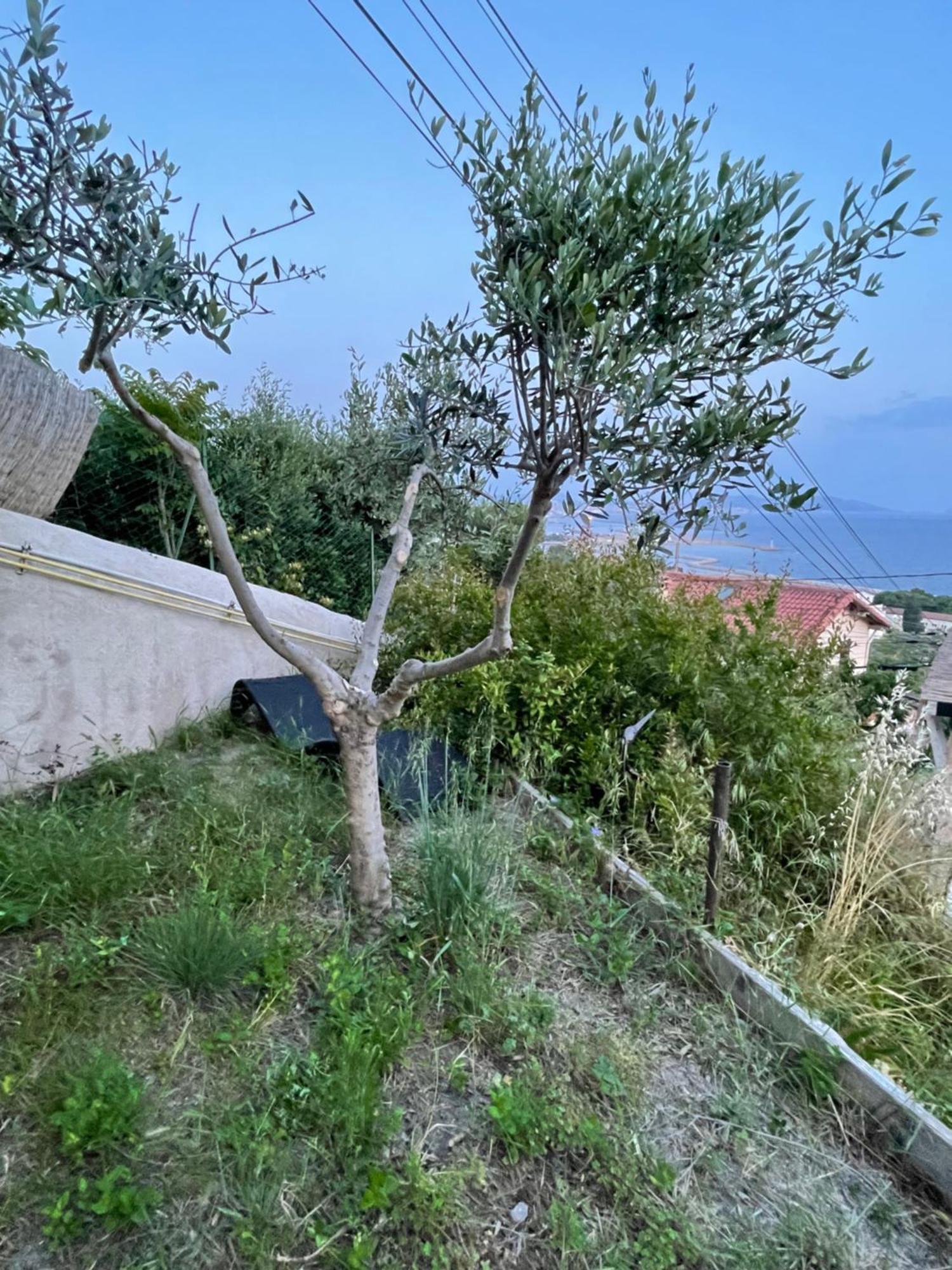 Magnifique Vue Sur La Mer ... Marsella Exterior foto